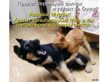 25.12.2010 14:55:36