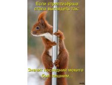 25.12.2010 14:55:48