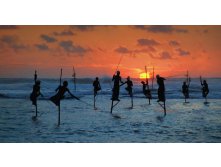 Stilt Fisherman