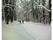 06.01.2011 19:25:59