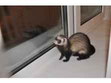 07.01.2011 15:08:31