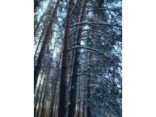 07.01.2011 16:30:41