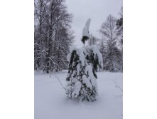 10.01.2011 19:13:23