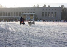 14.01.2011 9:26:26