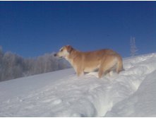 14.01.2011 13:43:17