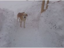 14.01.2011 13:47:07
