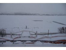 19.01.2011 11:37:33