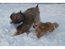 20.01.2011 12:53:52
