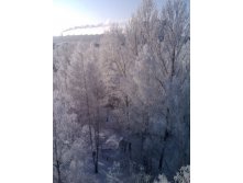 25.01.2011 23:13:36