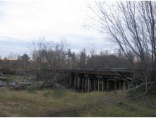IMG_0315.JPG
