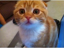 image-23-10-13-11-00-3 - .jpeg