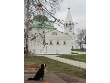 IMG_3144.JPG