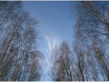 IMG_3972.JPG