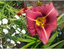 2013-07-08 08-48-13.JPG