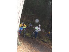 IMG_7029.JPG