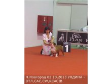 3e8387736260.jpg