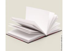 записная книжка Дневник гения-2.jpg