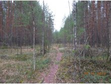 DSCN4058.JPG