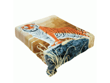 ZA FN 153 2022  .gif