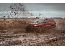 IMG_1704.jpg