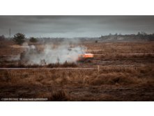 IMG_1866.jpg