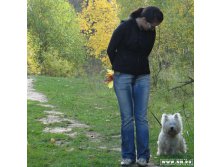 В начале пути