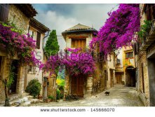 stock-photo-beautiful-old-town-of-provence-145666070.jpg