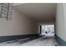 IMG_4386.JPG