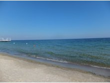 DSCF8620.JPG
