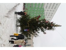 IMG_4421.JPG
