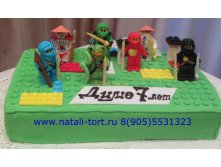 cake_robots_ninjago_20130329_1593420135.jpg