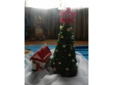 DSCN2091.JPG