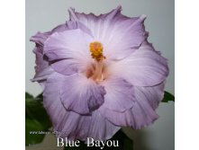 158 - Blue Bayou.jpg