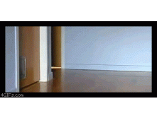 Cats_drifting-1.gif