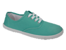 WF-1622  turquoise                                : ,                     : 