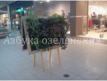 мольб.jpg