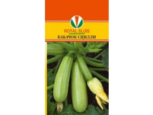 КАБАЧОК СЦИЛЛИ_34.60+%