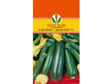 КАБАЧОК ДИАМАНТ F1_32.40+%
