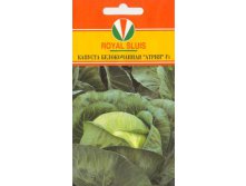 КАПУСТА БЕЛОКОЧАННАЯ АТРИЯ F1_30,00+%