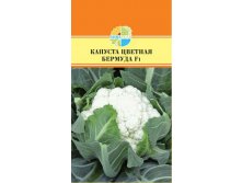 КАПУСТА ЦВЕТНАЯ БЕРМУДА F1_36.60+%