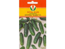 ОГУРЕЦ МАША F1_44.00+%