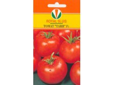 ТОМАТ ТАНЯ F1_24.00+%