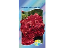 ПЕТУНИЯ ВАЛЕНТИНА_21.00+%