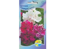 ПЕТУНИЯ ГЛОРИУС_21.00+%