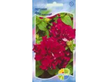 ПЕТУНИЯ ДУО бургунди_21.00+%