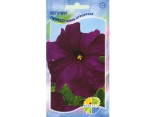 ПЕТУНИЯ ЛИМБО темно-пурпурная_15,90+%