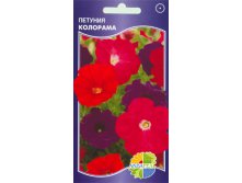 ПЕТУНИЯ КОЛОРАМА_9.00+%