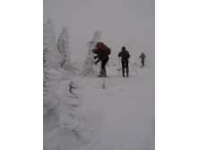 IMG_0030.JPG