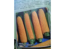 кукуруза золотой урожай.jpg