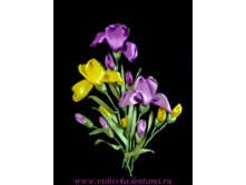 ЯПОНСКИЕ ИРИСЫ_250+%